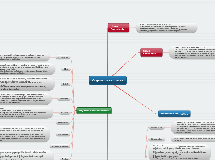 Organelos Celulares Mind Map